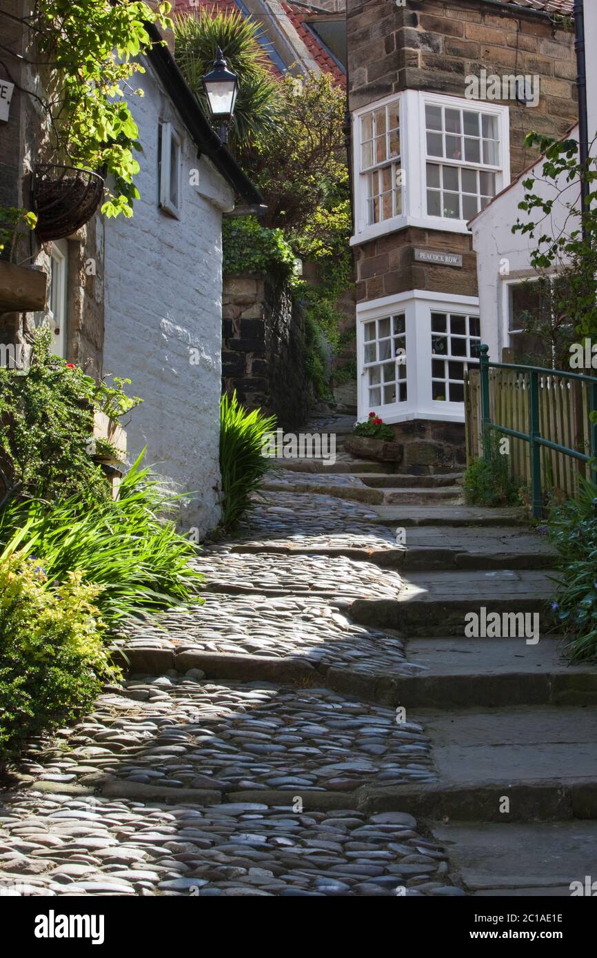 Cobbled alley in village at start of the coast to coast walk, Robin Hood`s Bay, North Yorkshire, England, United Kingdom, Europe Stock Photo